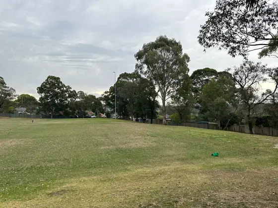Near Westminster Park, Gladesville