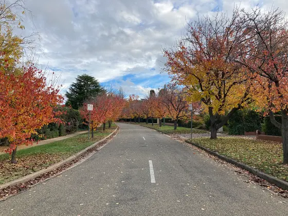 Near Stokes Street Neighbourhood Park, Griffith