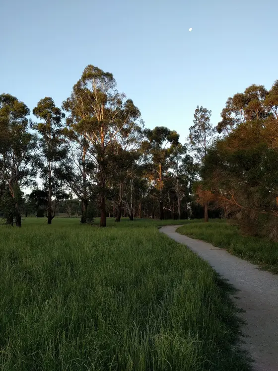 Near Academy Drive Playground, The Basin