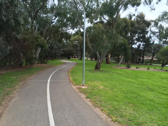Near Parent Dog RTLP Tedder Rese playground, Flinders Park