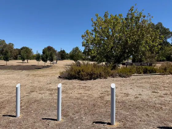 Near Ray Beddoe Park playground, Lake Albert