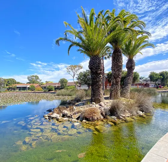 Near Basketball Court - Corcoran Reserve playground, West Lakes