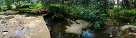Near Upjohn Park, Rydalmere