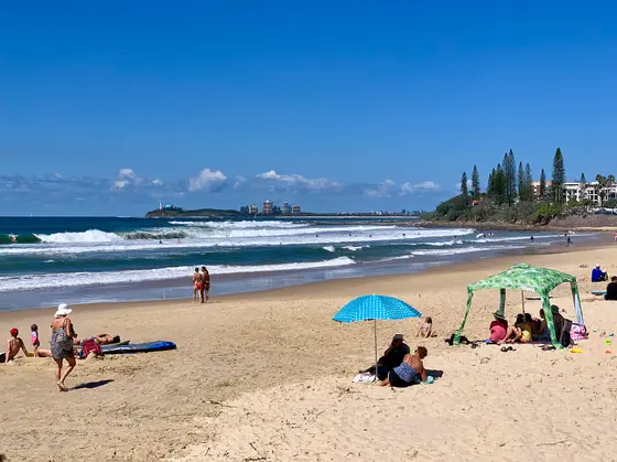Near Wilkes Family Park playground, Alexandra Headland