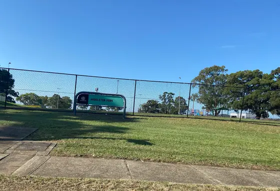 Near Middleton Park playground, Yagoona