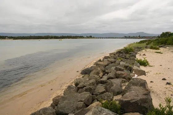 Near Reddall Reserve playground, Lake Illawarra