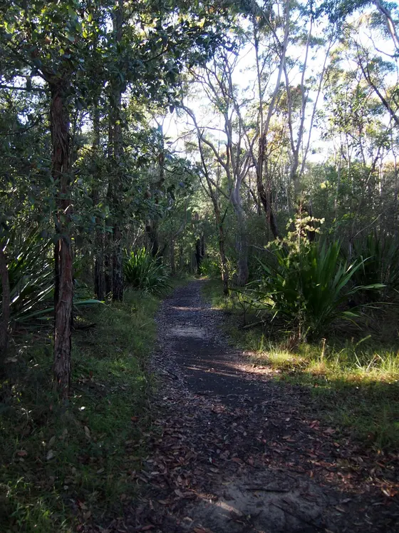 Near Boronia Grove Reserve playground, Heathcote