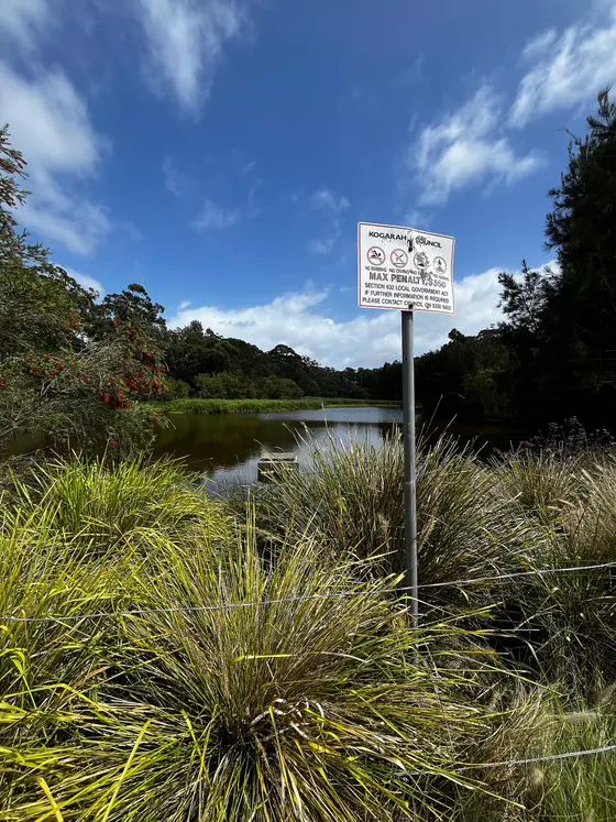 Near Moore Reserve playground, Hurstville Grove