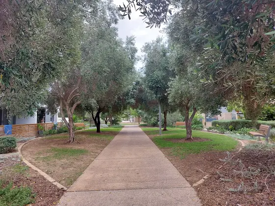 Near Barrow Park playground, North Coogee