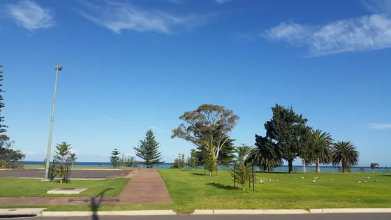 Near Ada Ryan Gardens playground, Whyalla