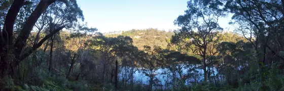 Near Donegal Reserve, Killarney Heights