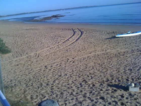 Near Nielsens Park playground, Torquay