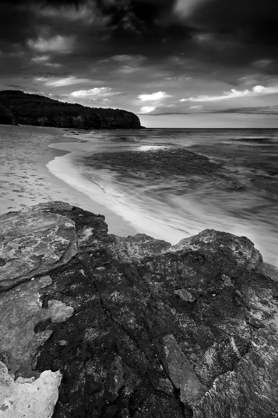 Near Glen Eagles Playground, Warriewood