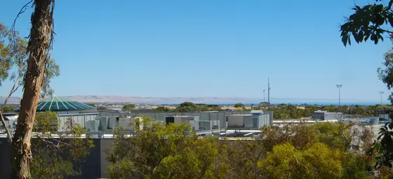 Near Ramsay Place playground, Noarlunga Centre