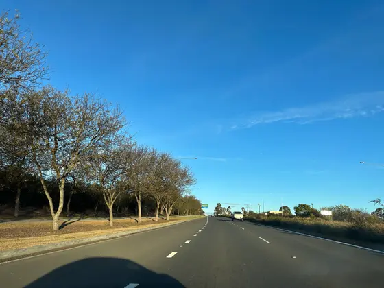 Near Salter Reserve, Harrington Park, Harrington Park