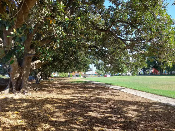 Near John Macmillan Park playground, East Victoria Park