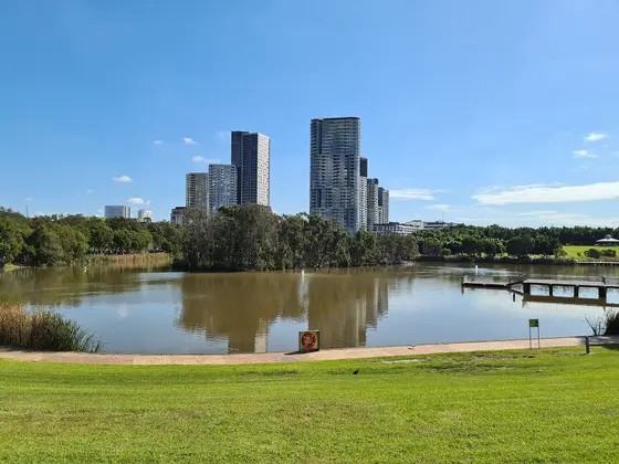 Near Bressington Park, Homebush