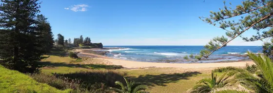 Near Glastonbury Gardens playground, Austinmer