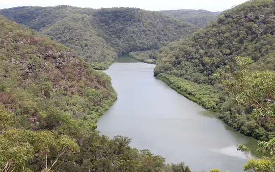 Near Barnetts Playground, Berowra Heights