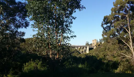 Near Fred Hutley Reserve Park, Cammeray