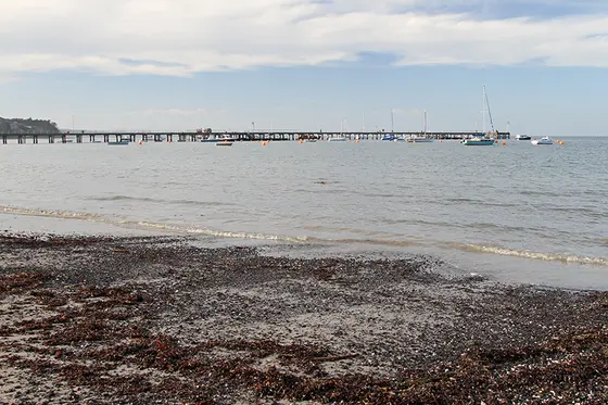 Near Flinders Foreshore Reserve Playground, Flinders