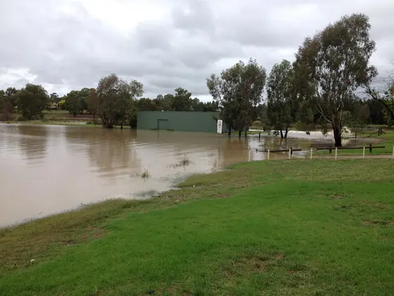 Near Bosley Memorial Park playground, Lake Albert