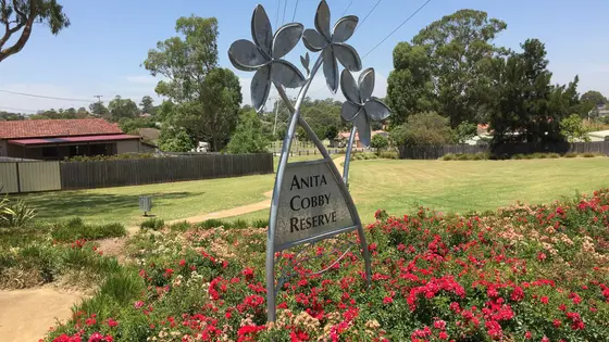 Near Reserve 742, Blacktown
