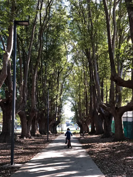 Near Brighton Street Reserve, Petersham