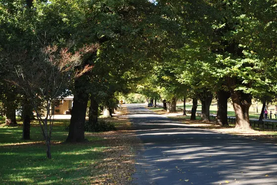 Near Apex Park, Bright