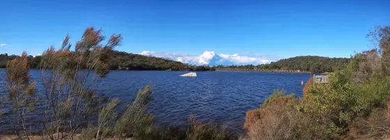 Near Manly Dam Playground, Manly Vale