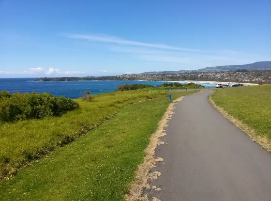 Near Minnamurra Bike Skills Track, Minnamurra