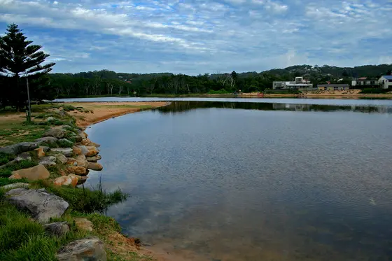 Near Haezlett Park playground, Avoca Beach