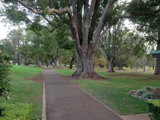 Near Lindsay Street All Access Playground, East Toowoomba