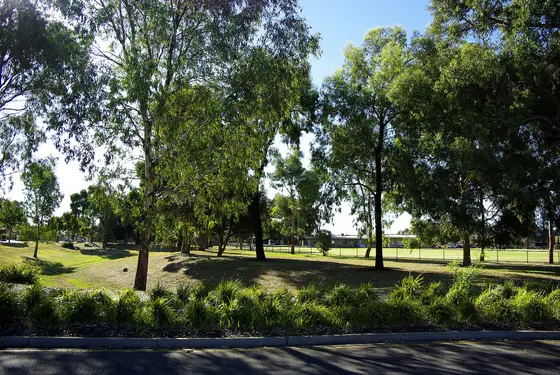 Near Ferryden Park Reserve, Ferryden Park