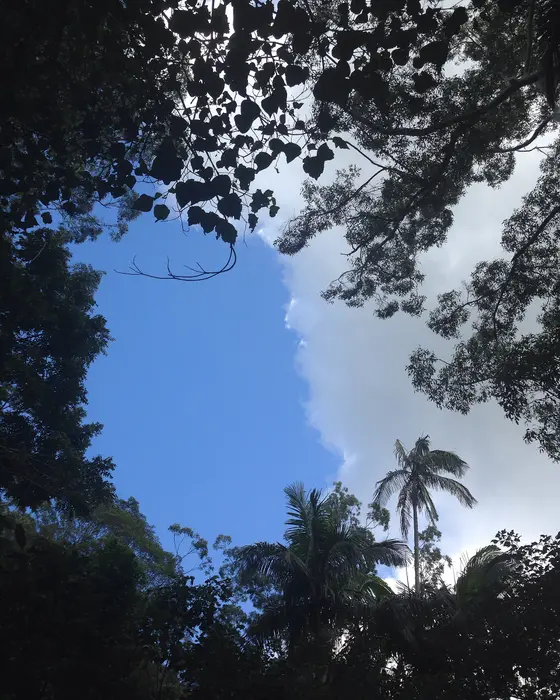 Near Beaufort Park playground, Ormeau Hills