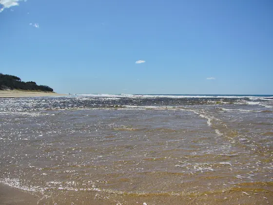 Near Cliff Hargreaves Park playground, Currimundi