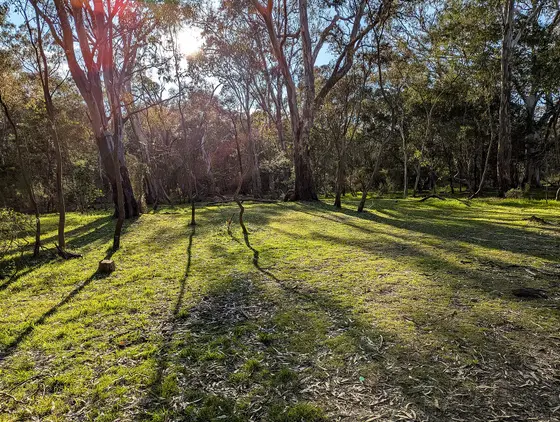 Near Greenwood Reserve playground, Bundoora