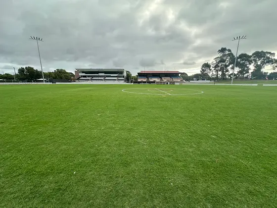 Near Unley Oval playground, Unley