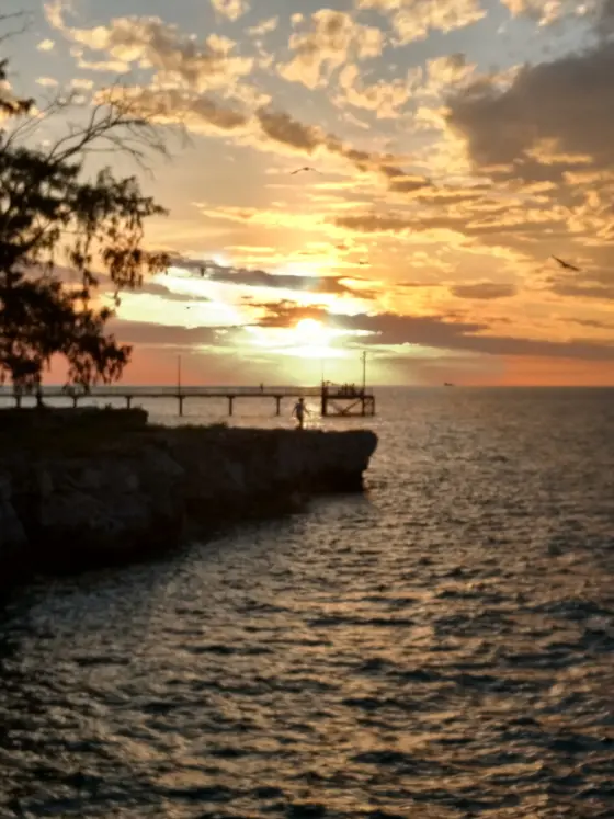 Near Sunset Park playground, Nightcliff