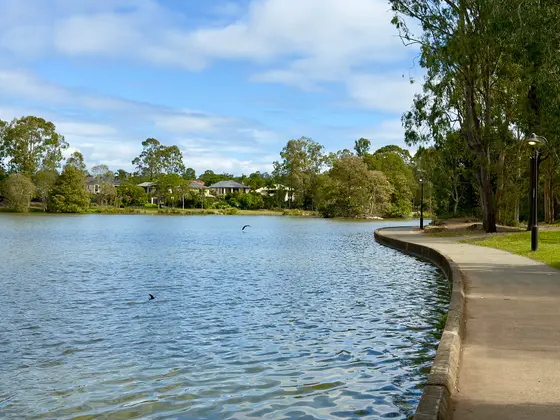 Near The Lake Parklands playground, Forest Lake