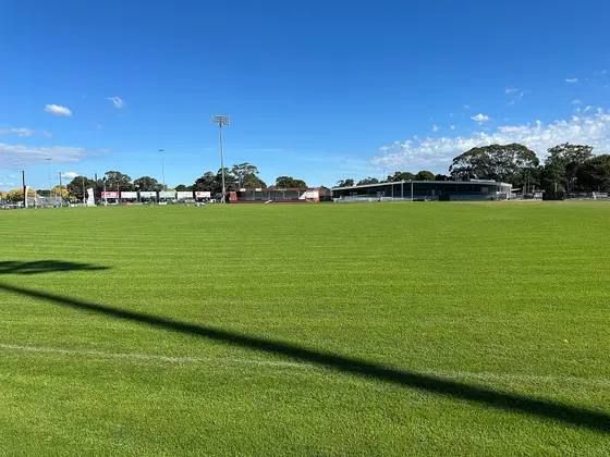 Near Crisp Park playground, Traralgon