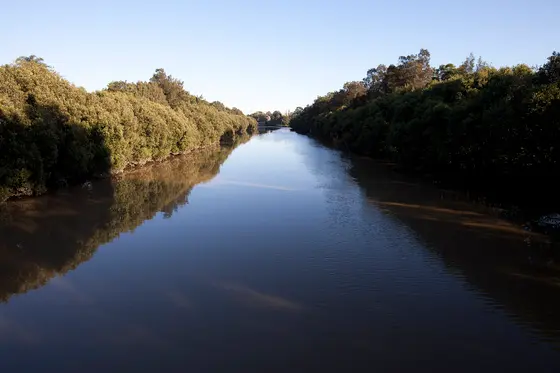 Near Burnett Street Reserve, Hurlstone Park