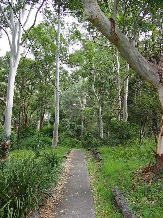 Near West Denistone Park playground, Denistone West