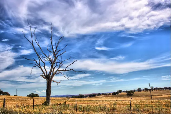 Near River Park playground, Cowra
