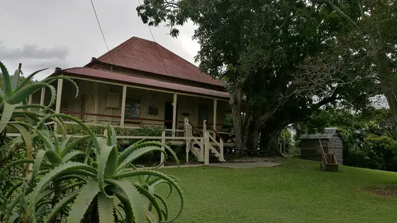 Near Collin Park playground, Kingston