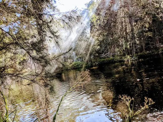 Near Airman's Park, Lindfield