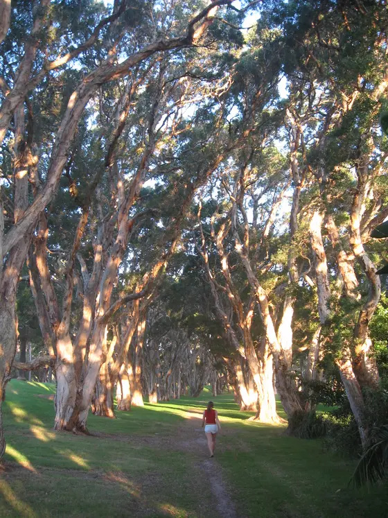 Near Dawes Avenue Reserve playground, Regents Park