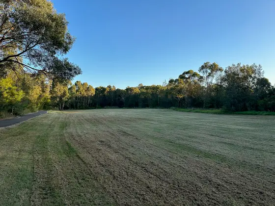 Near Kentucky Reserve, Bankstown Aerodrome