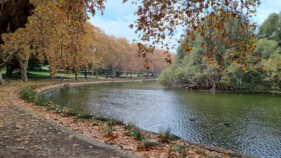Near Robertson Park playground, Perth