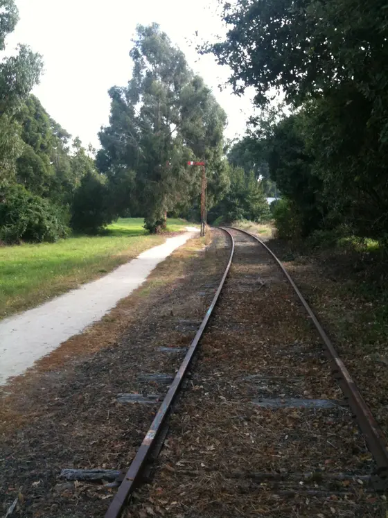 Near Horticultural Park Playground, Leongatha